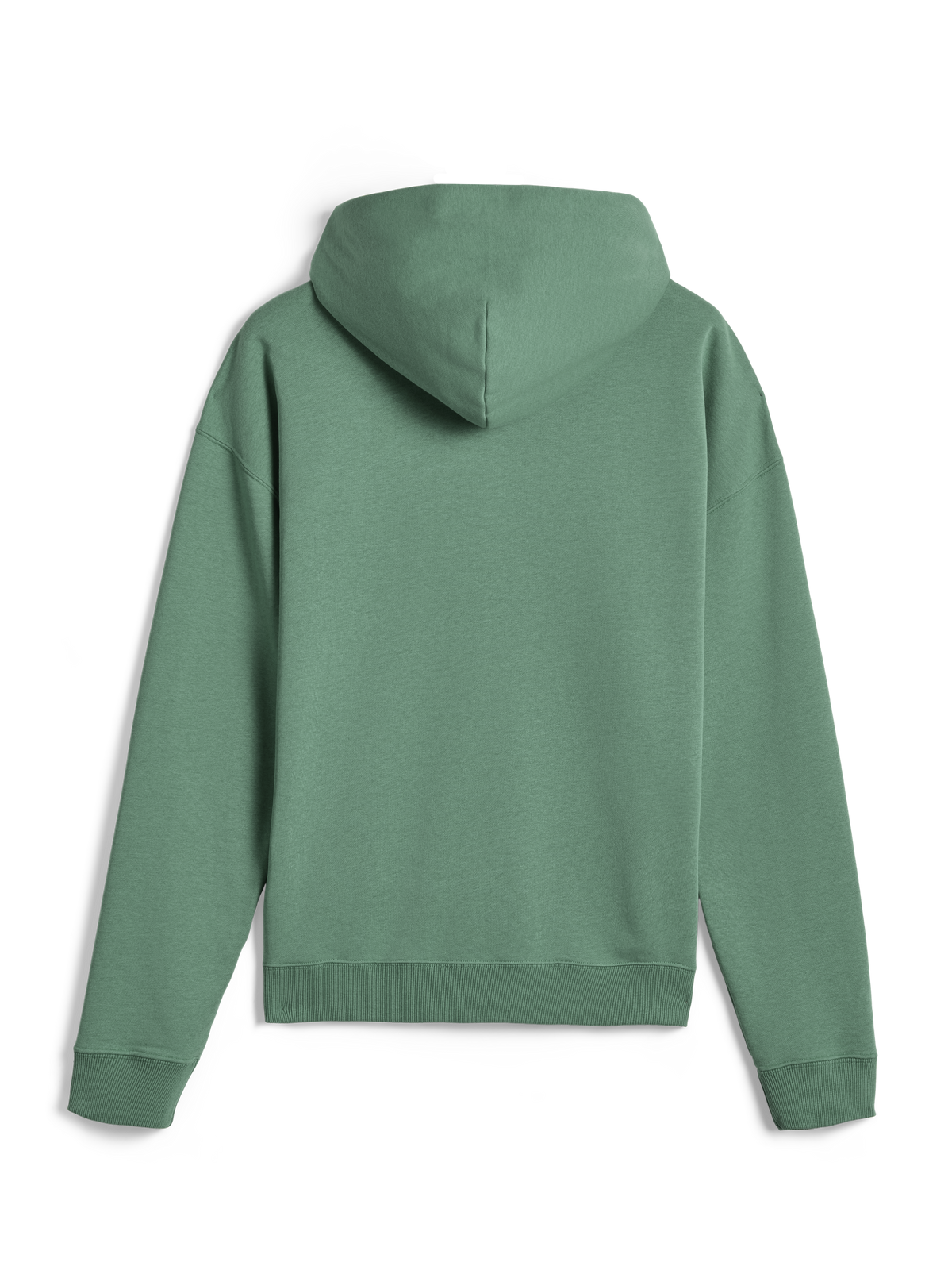 Alpinestars Essentials Ageless Hoodie, streetwear décontracté, vert Cactus, vue de dos, manches longues, pullover à capuche avec poignets et ourlet côtelés, design minimaliste épuré