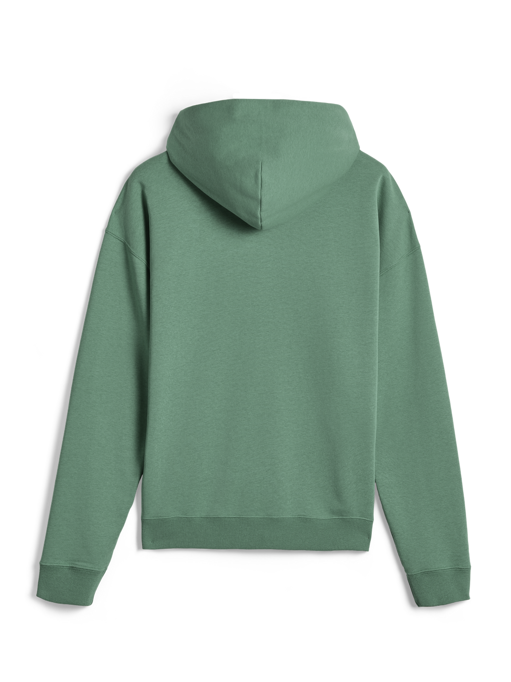 Alpinestars Essentials Ageless Hoodie, streetwear décontracté, vert Cactus, vue de dos, manches longues, pullover à capuche avec poignets et ourlet côtelés, design minimaliste épuré