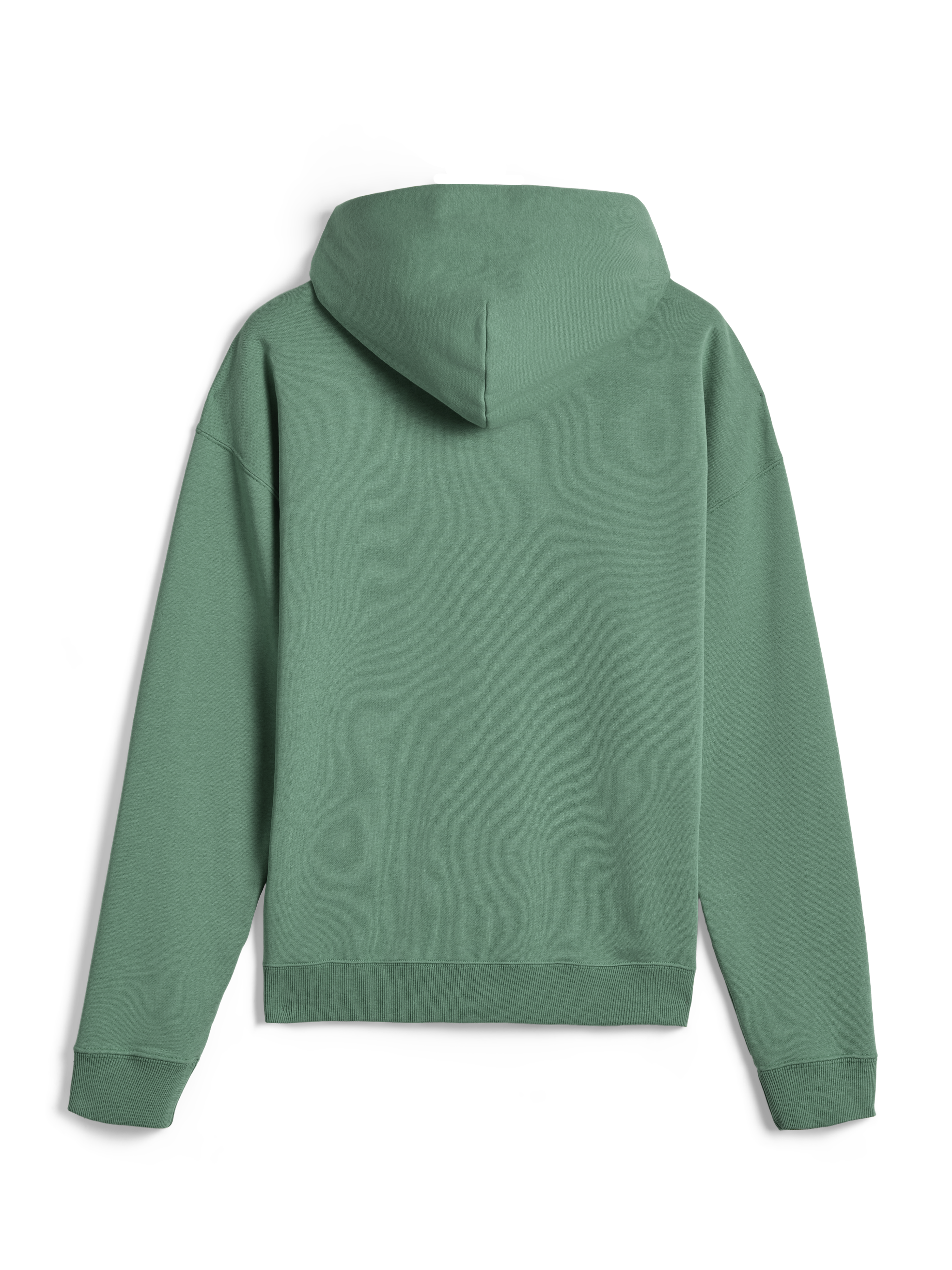 Alpinestars Essentials Ageless Hoodie, streetwear décontracté, vert Cactus, vue de dos, manches longues, pullover à capuche avec poignets et ourlet côtelés, design minimaliste épuré