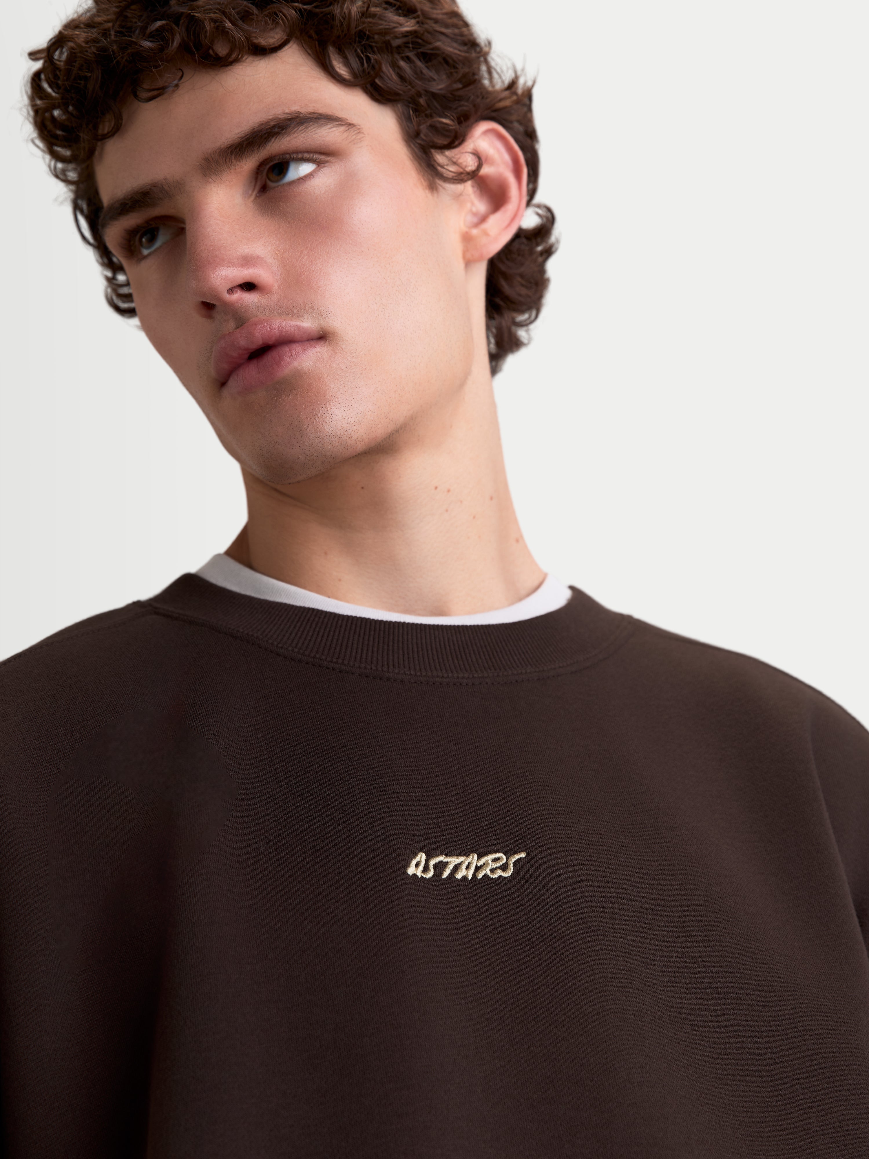 Alpinestars Guise Oversize Sweat, pull en polaire sportswear pour homme, marron, gros plan sur le logo Astars brodé sur la poitrine et le col ras du cou côtelé, style décontracté.
