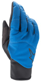 Denali 2 Gloves