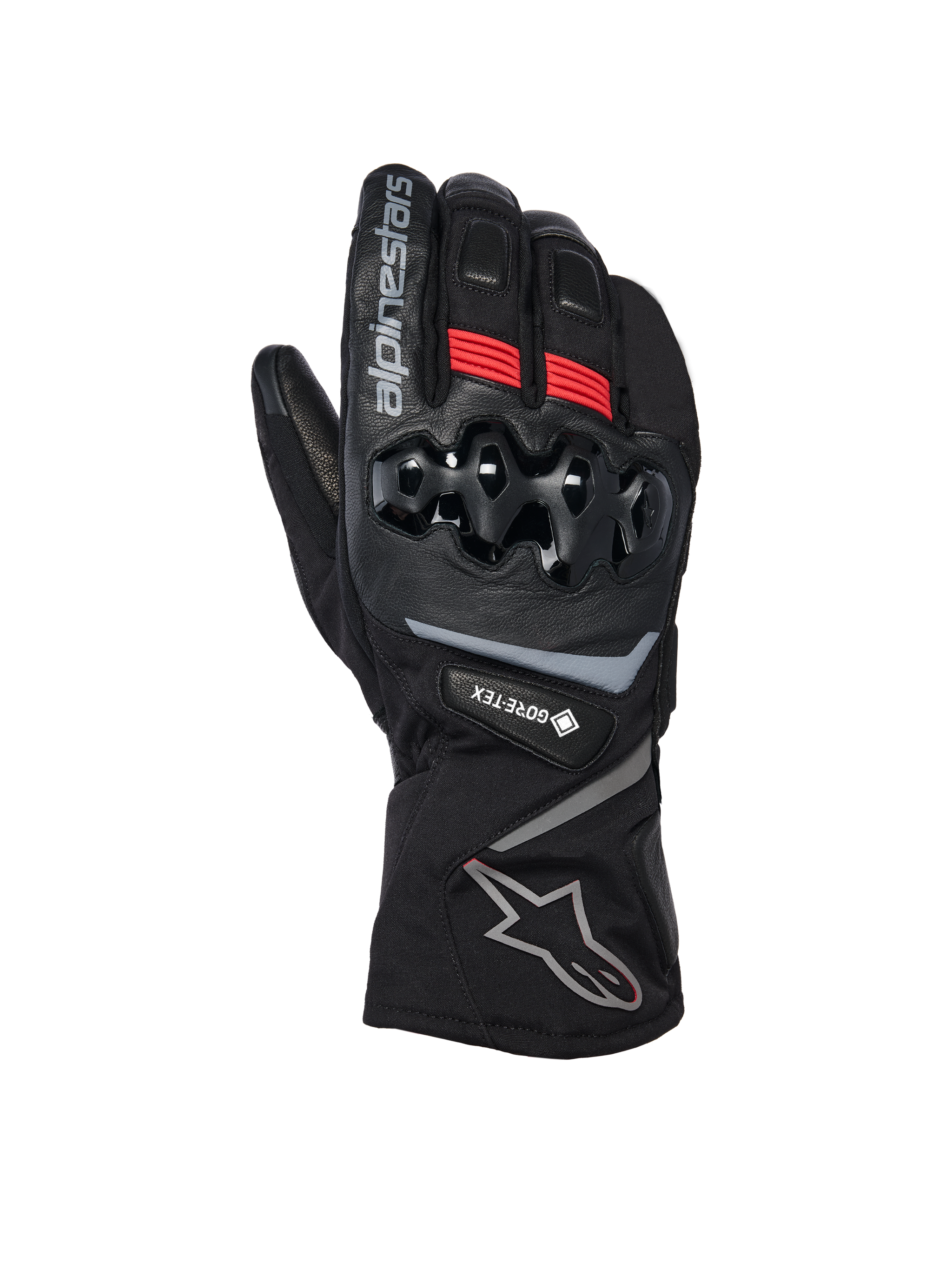 WT-8 GORE-TEX Insulated Gloves