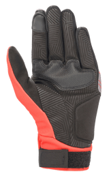 Aragon Glove