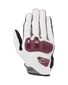 Gants Chrome