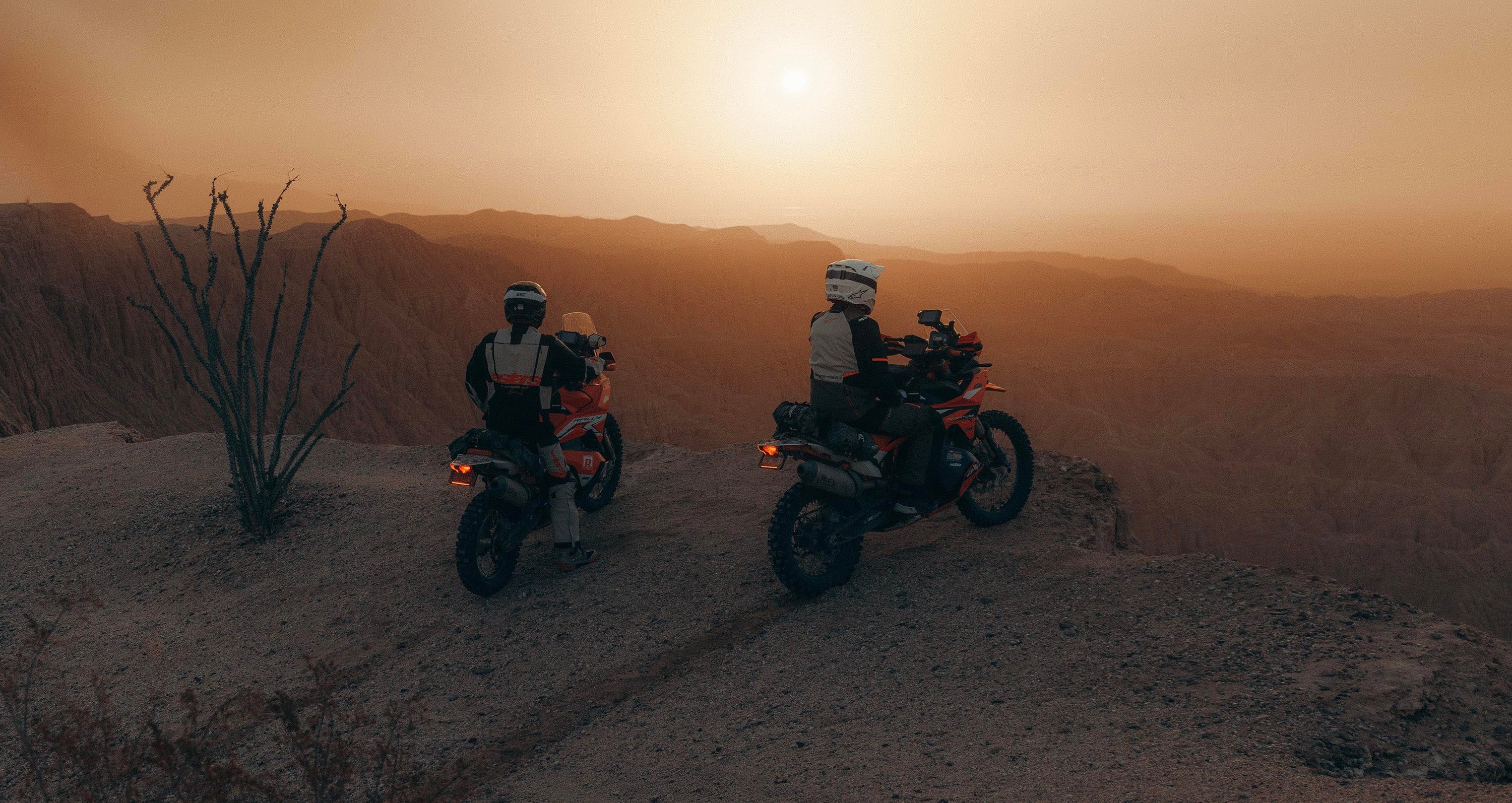 Image 68253707469178