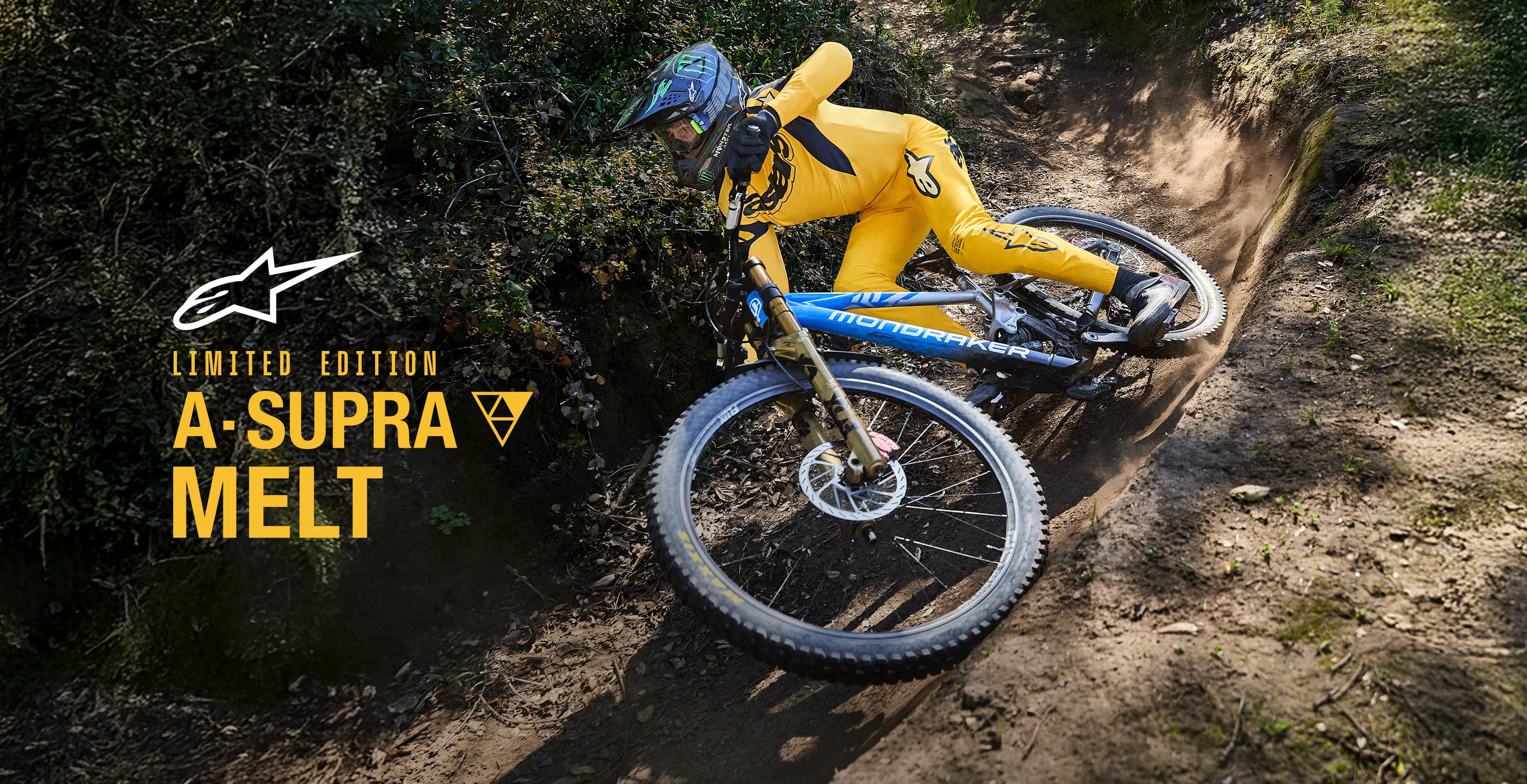 Image 66229244363130